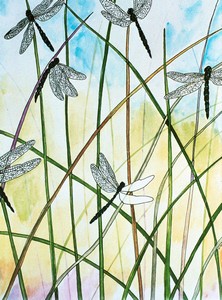Dragonflies_1