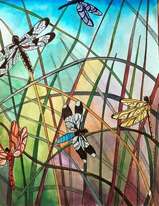 Dragonflies_2