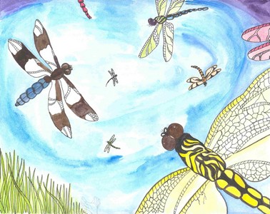 Dragonflies_4 Swirling