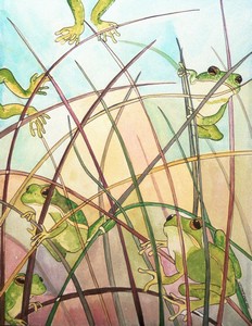 Frogs