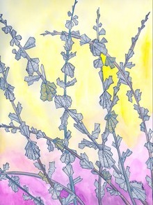 Frost