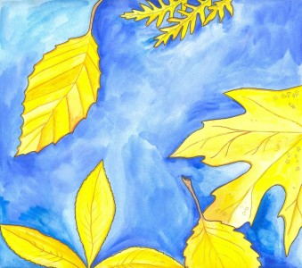 Autumn Greeting Cards